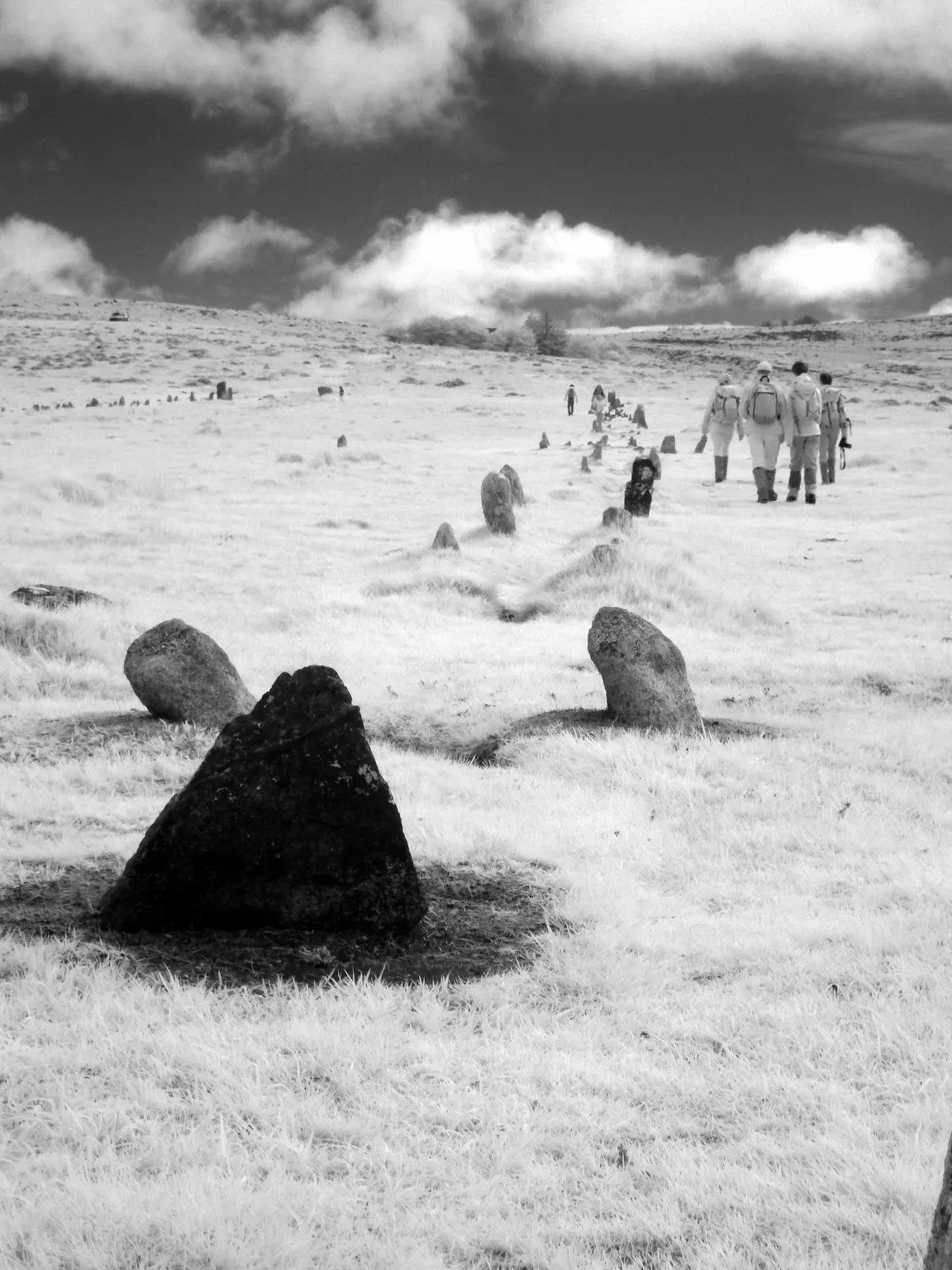Merrivale Prehistoric Settlement