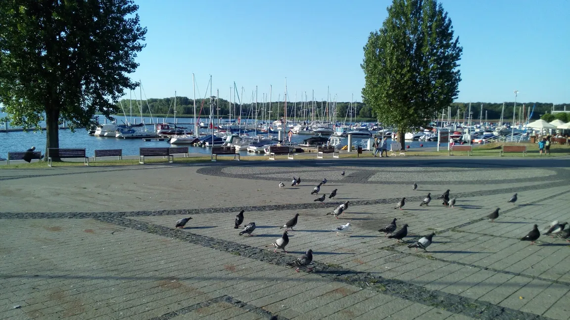 Labirynt Kamień Pomorski