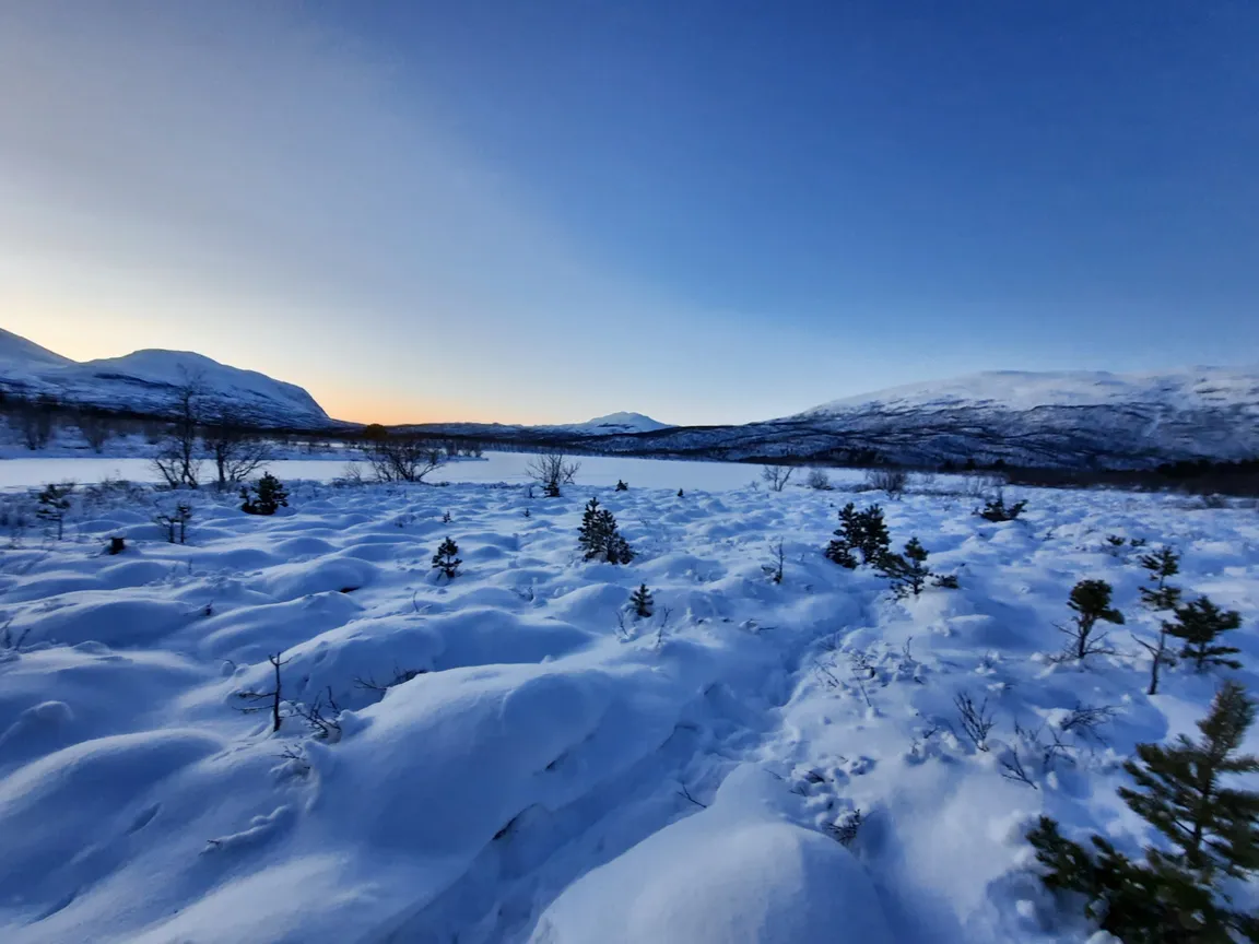 Park Narodowy Abisko