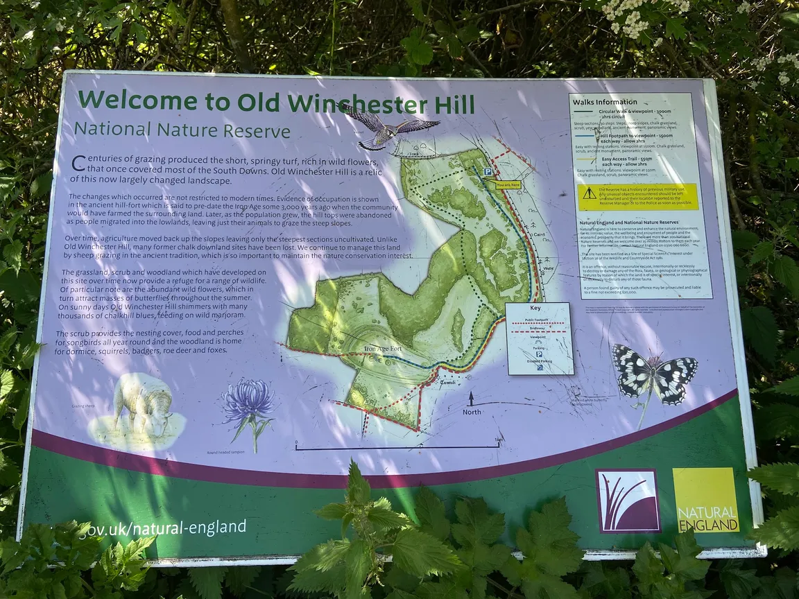 Old Winchester Hill