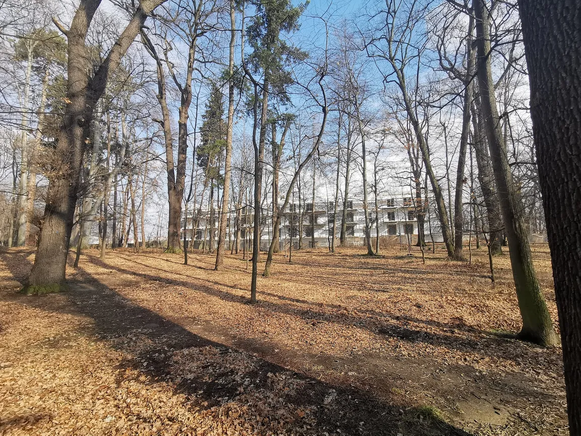 Park Młodzieżowy