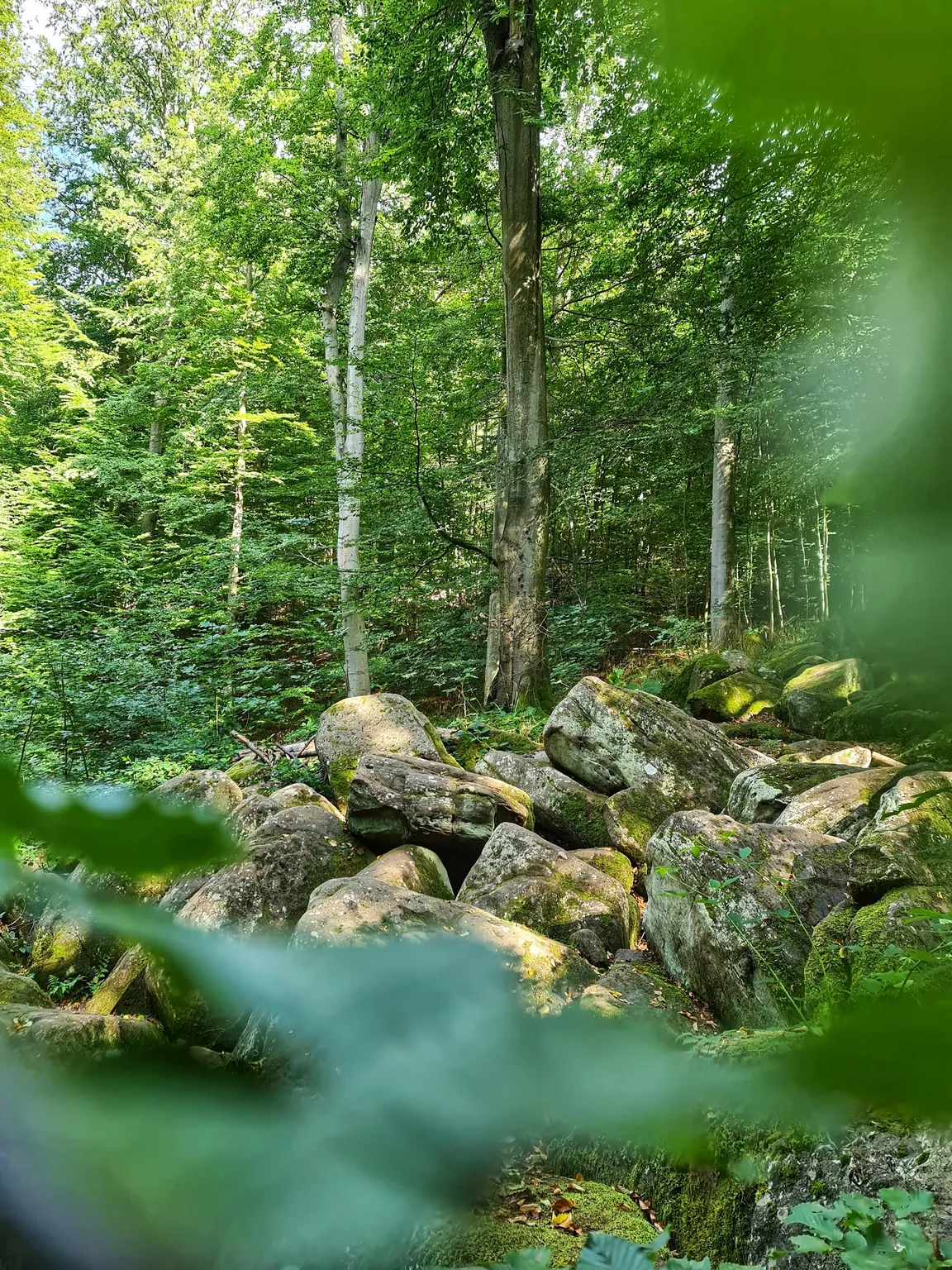 Felsenmeer