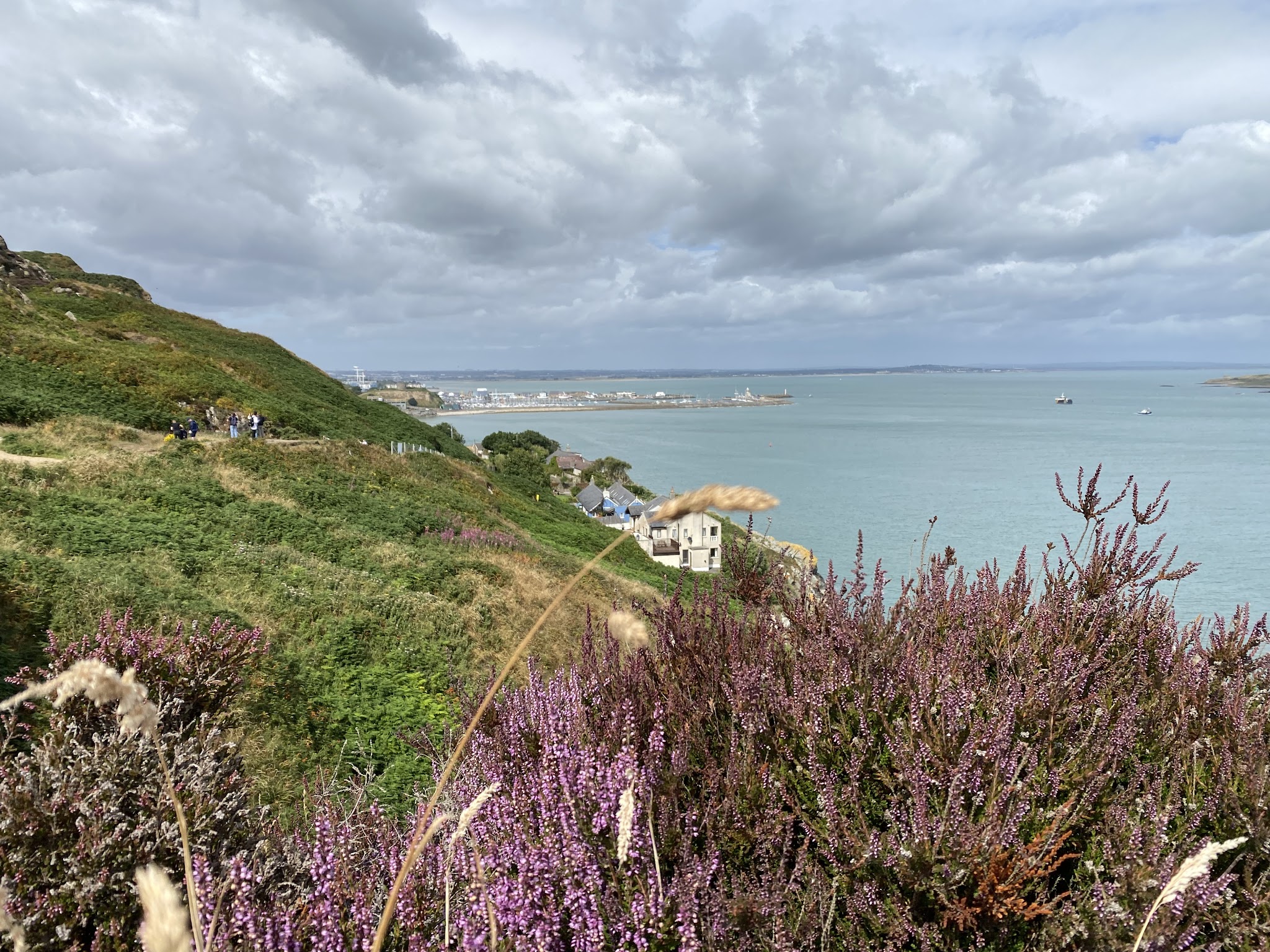 Howth Cliff Walk | Hopsa