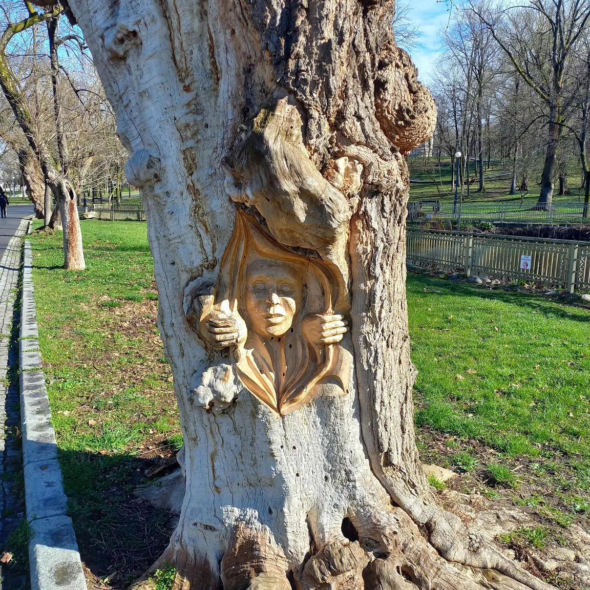 Nicolae Romanescu Park