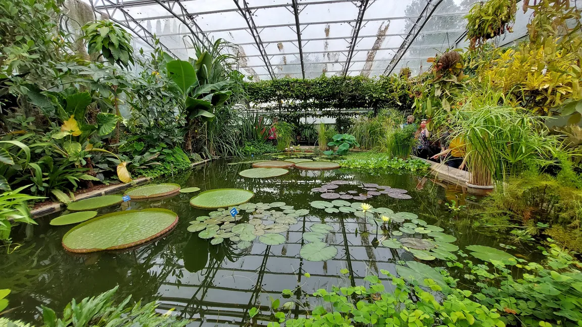 Oxford Botanic Garden