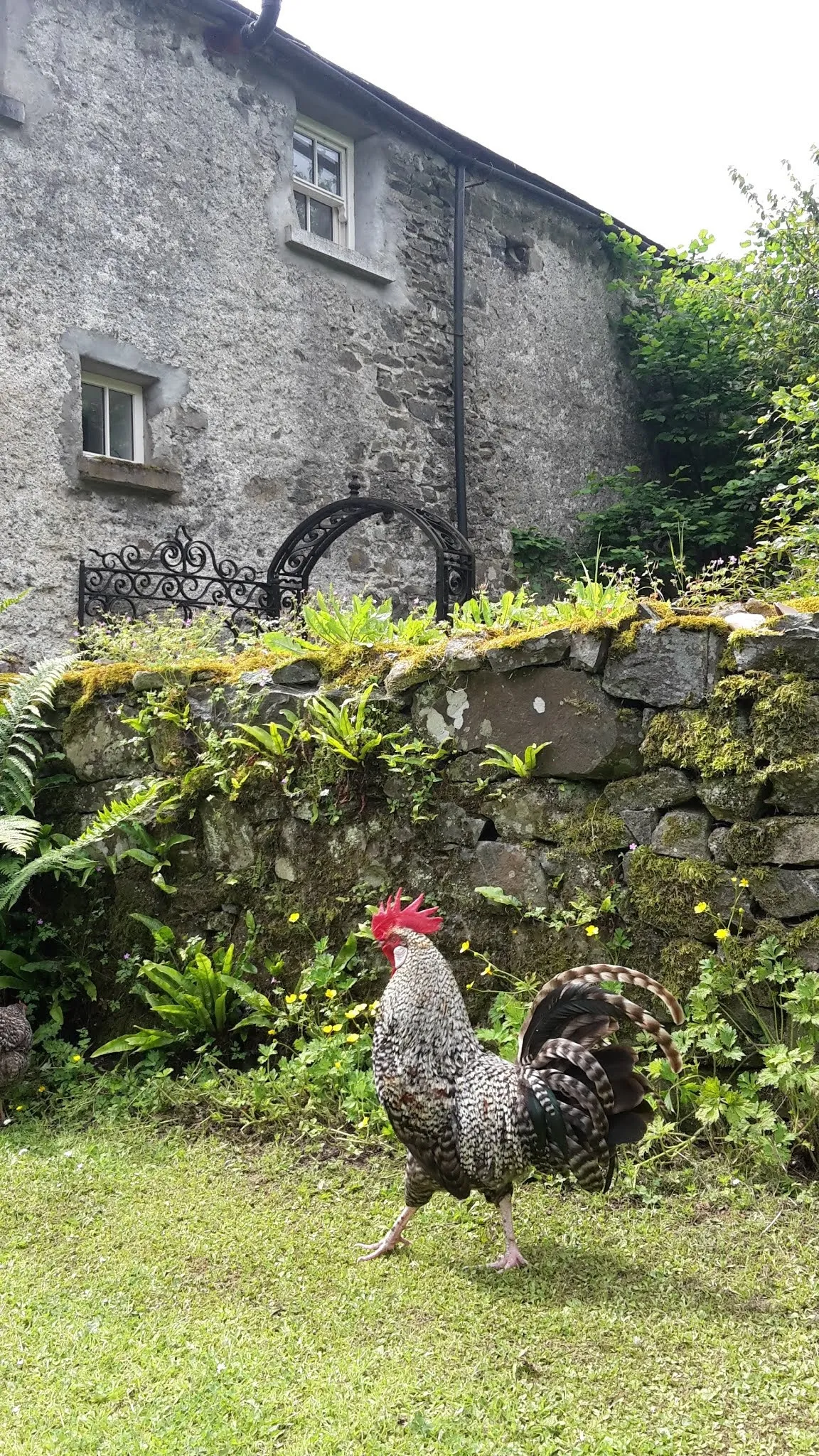 Lakeview Organic Farm