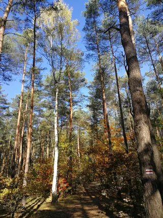 Polana Rekreacyjna "Jakubów"