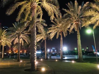 Marina Yacht Club يخوت المارينا