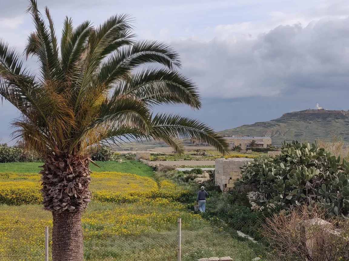 Il-Palma Farmhouse