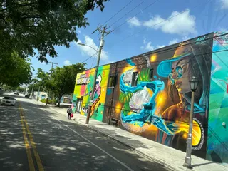Wynwood Art Walk