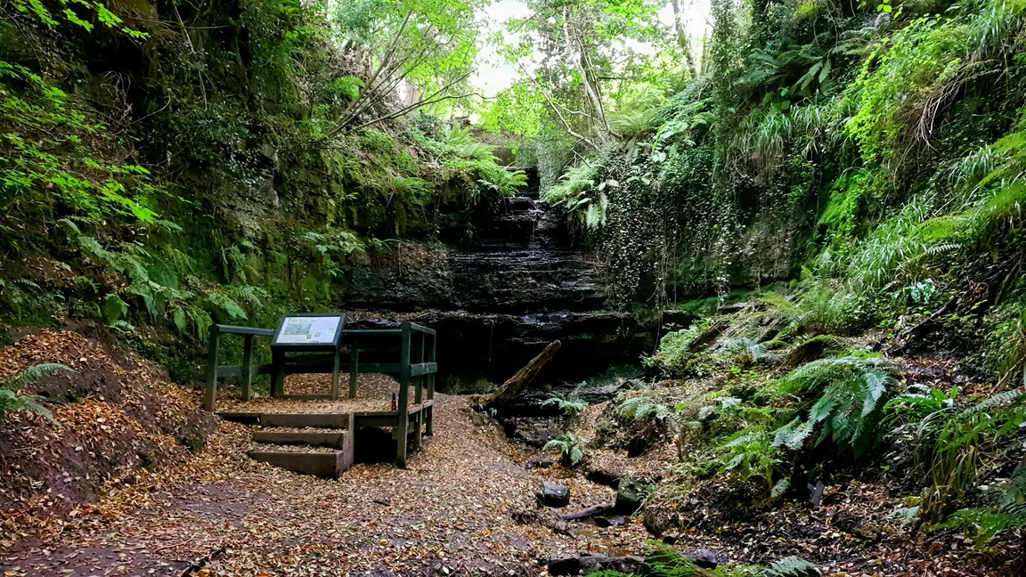 Old Roar Gill