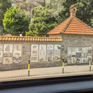 Belgrade Zoo Mosaic Wall