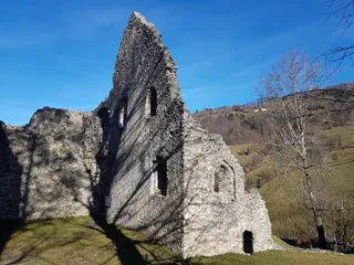 Burgruine Losenstein