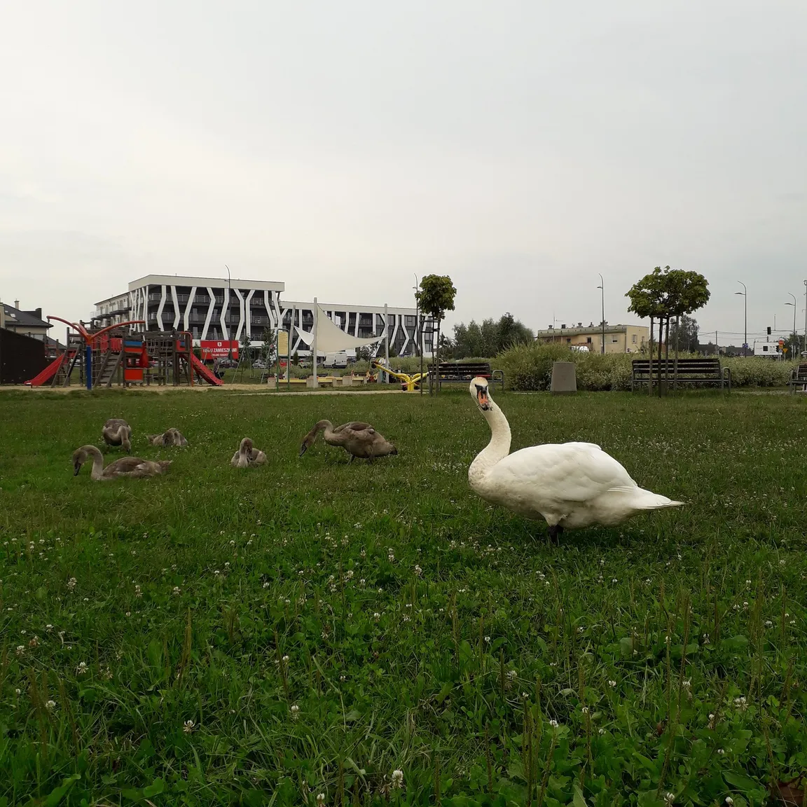 Plac zabaw