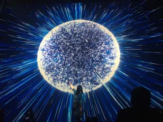 ARTECHOUSE NYC