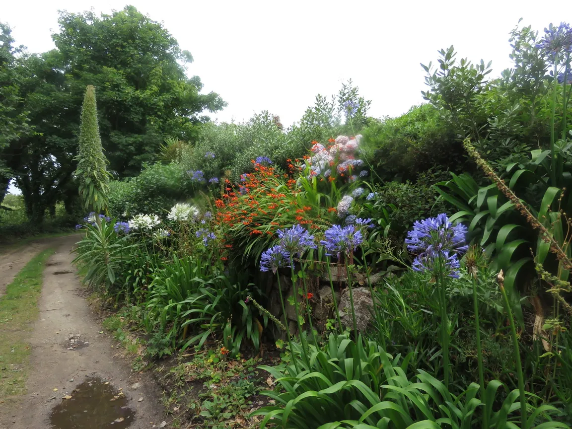 Carreg Dhu Gardens