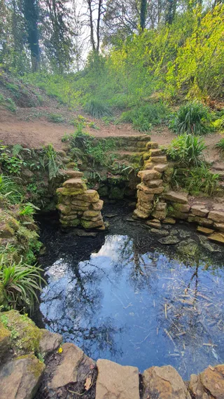 Ninesprings Park