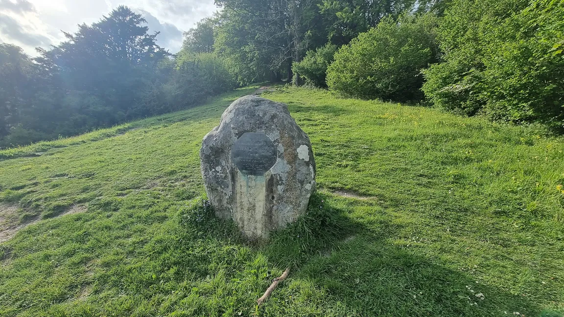 Ashford Hangers National Nature Reserve