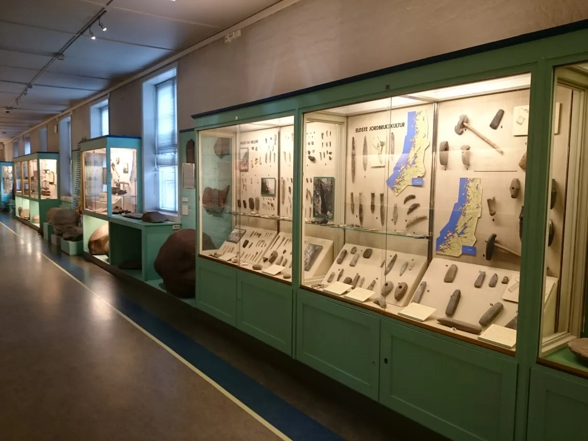 NTNU Vitenskapsmuseet