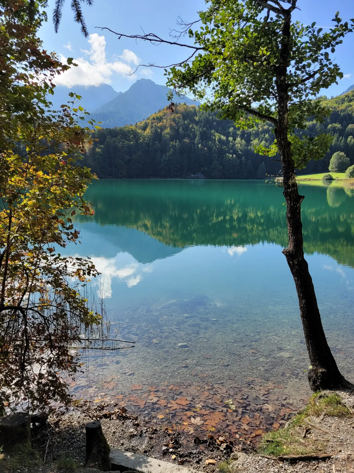 Alatsee Rundweg