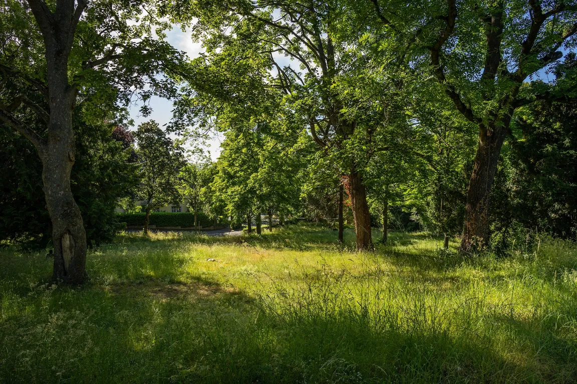 Wall Park Bastion Alexander