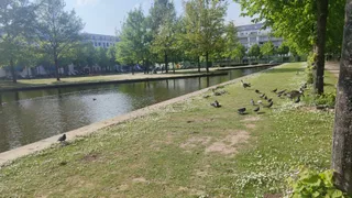 IHZ-Park