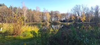 Rezerwat przyrody Łęgi Oborskie