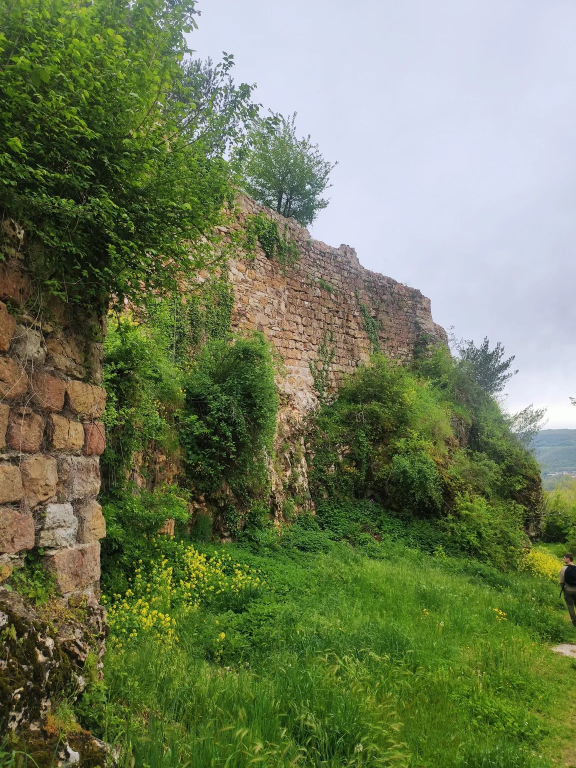 médiéval Garden