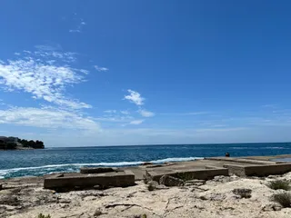 Dog Beach