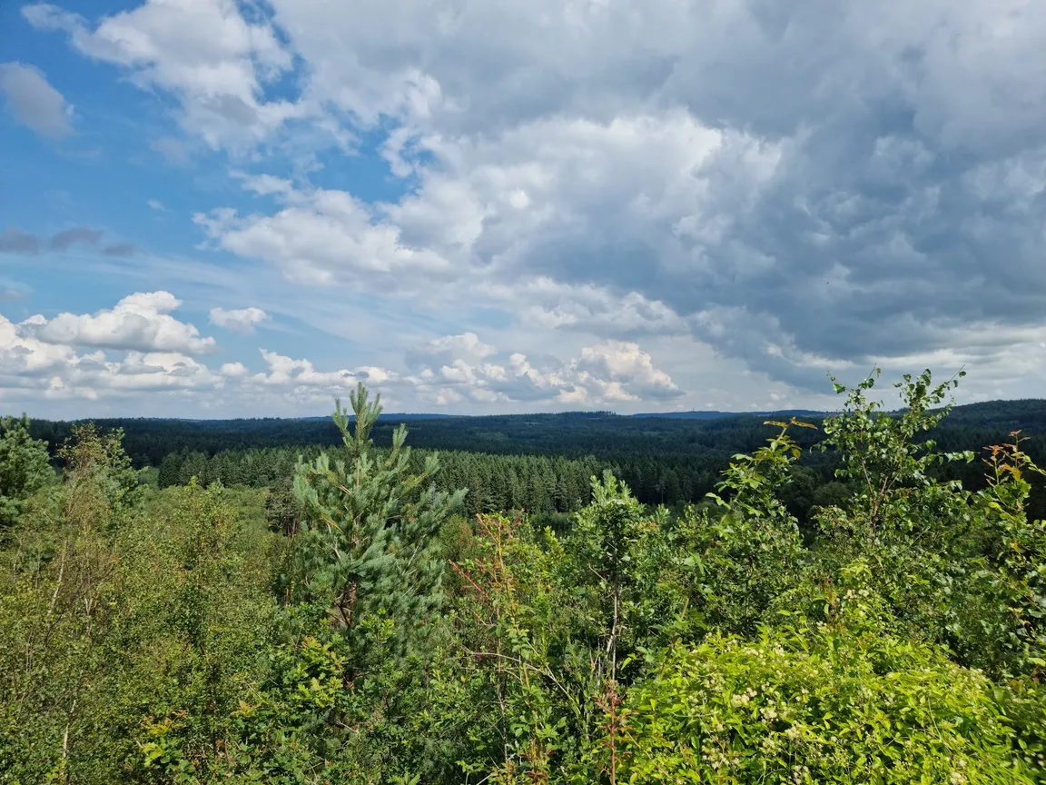 New Fancy View Point