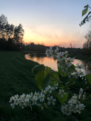 Gospodarstwo agroturystyczne Ewa Guz