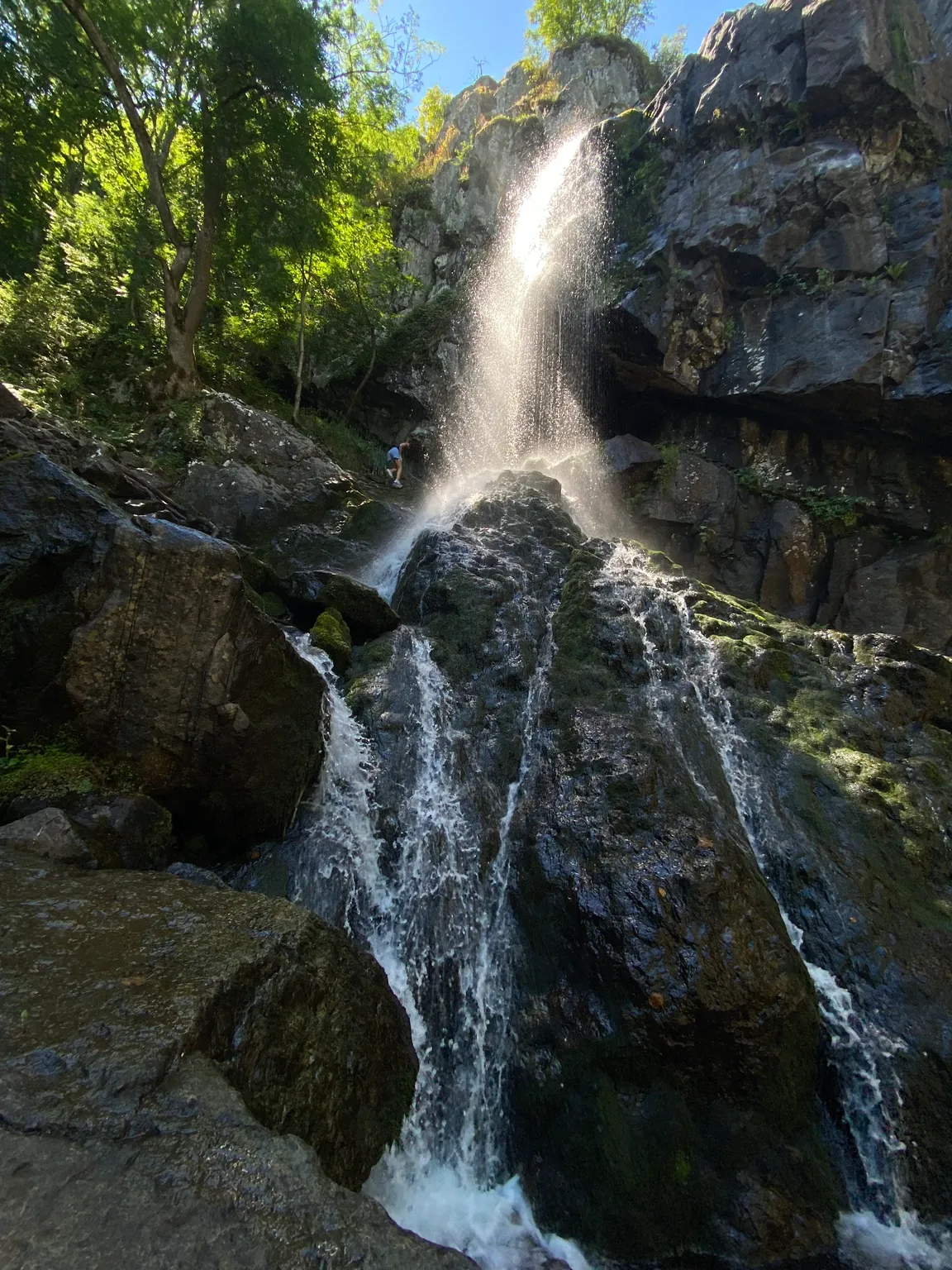 Vitosha Nature Park