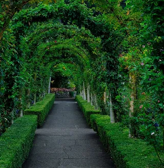 Green Garden - Szkółka Drzew i Krzewów Ozdobnych