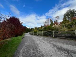 Bedgebury National Pinetum and Forest
