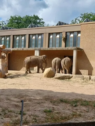 Elefantentor (Zoo Berlin)