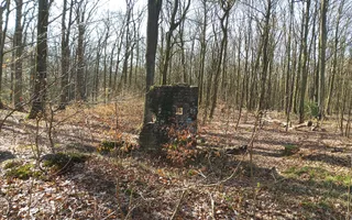 Kurler Busch