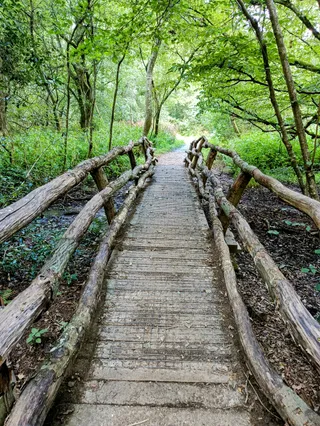 National Trust - Sheffield Park & Garden