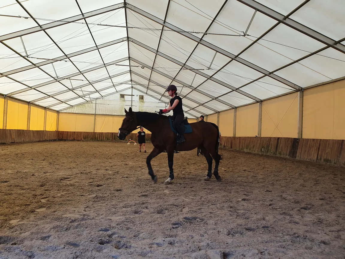 BESTHORSES