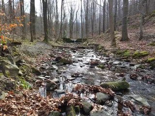Zapora im. Ignacego Mościckiego w Wapienicy