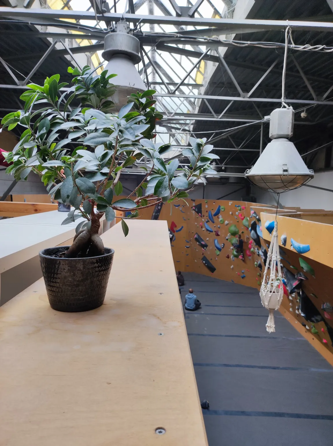 Problem Bouldering