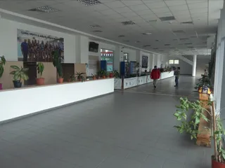 Cursuri inot copii