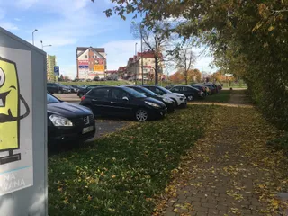 Pomnik dzika