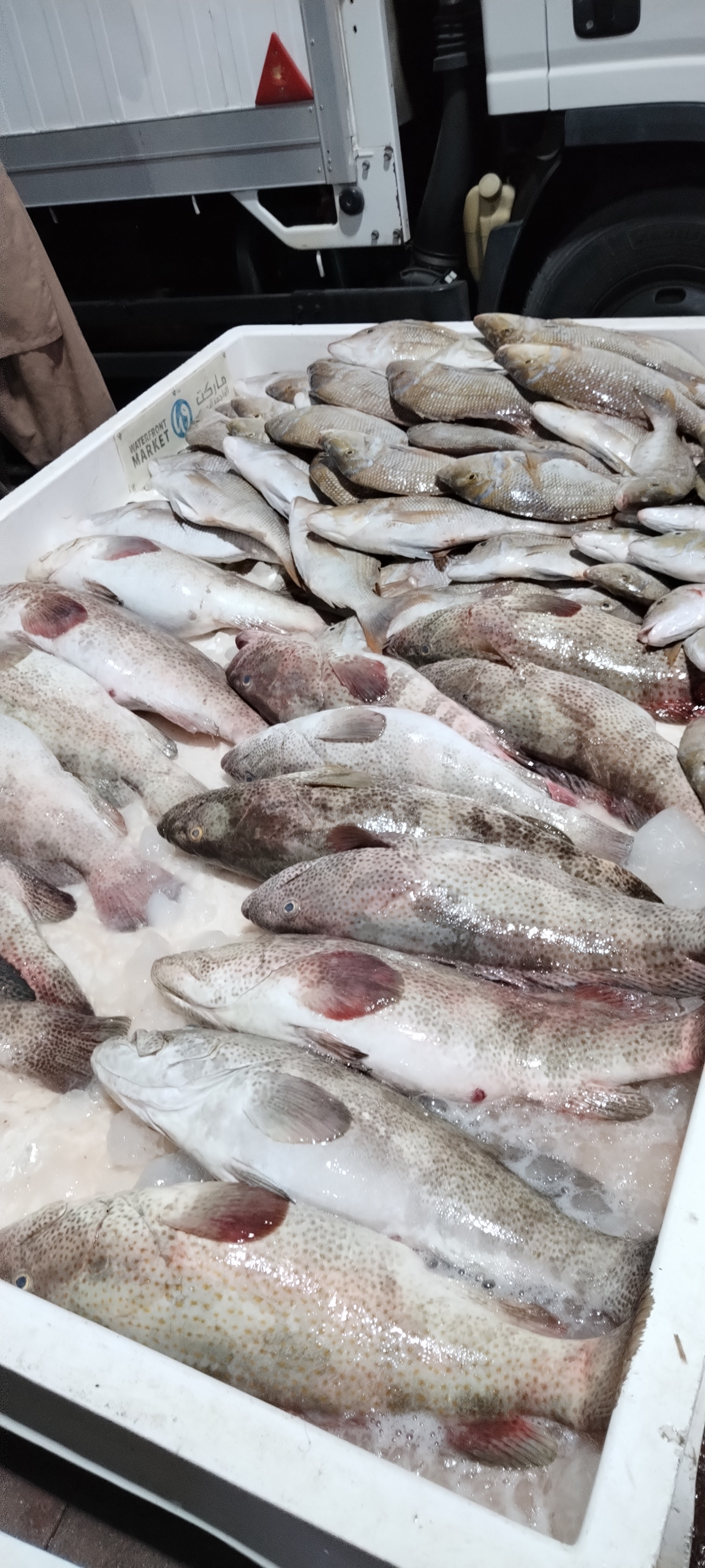 Harun Rafiq Fish Trading | Hopsa