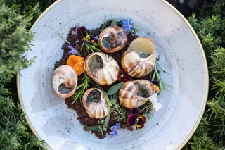Brasserie Adriatic