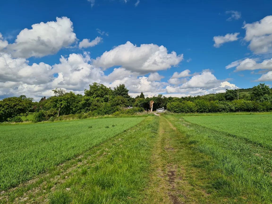Pitstone Windmill