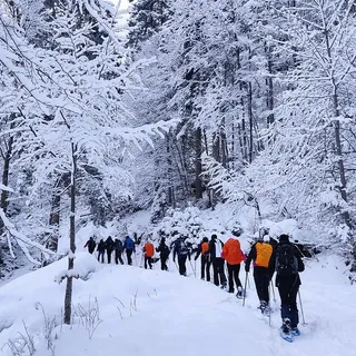 Dolomiti Beat
