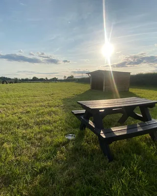 Holt Dog Park
