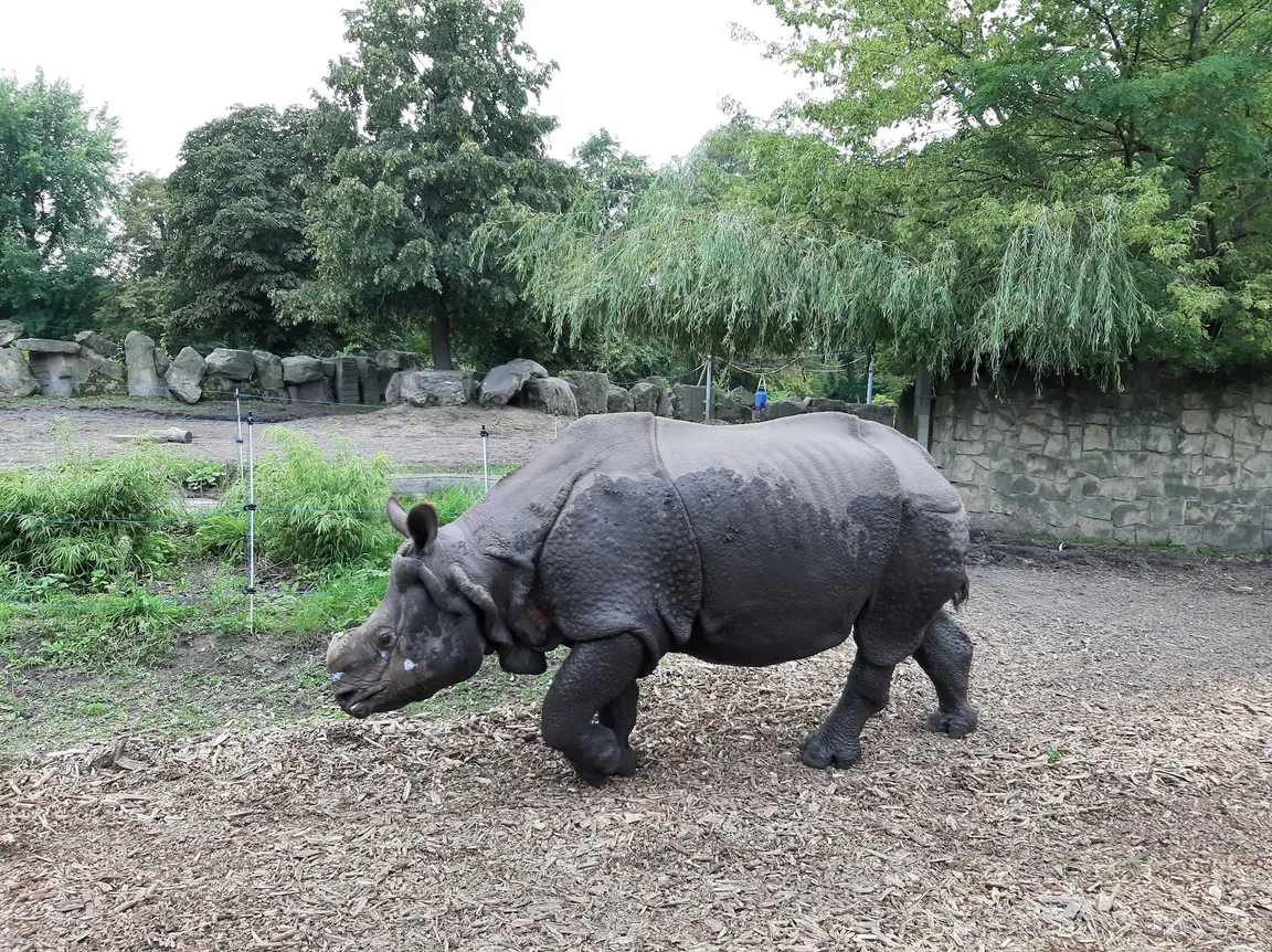 Miejski Ogród Zoologiczny im. Antoniny i Jana Żabińskich w Warszawie