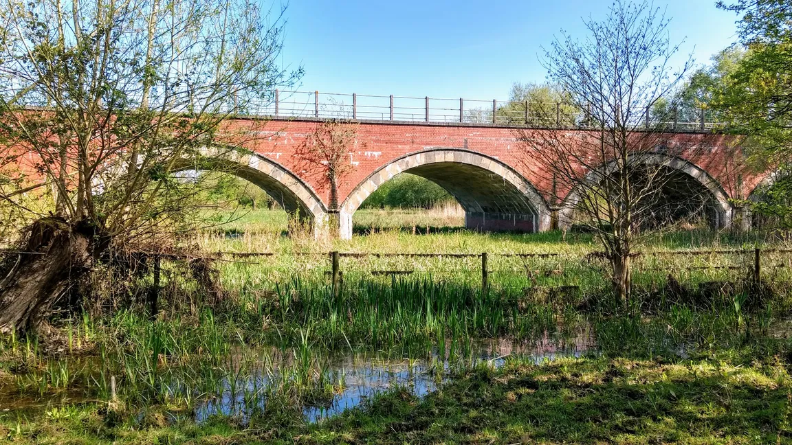 Alney Island Nature Reserve