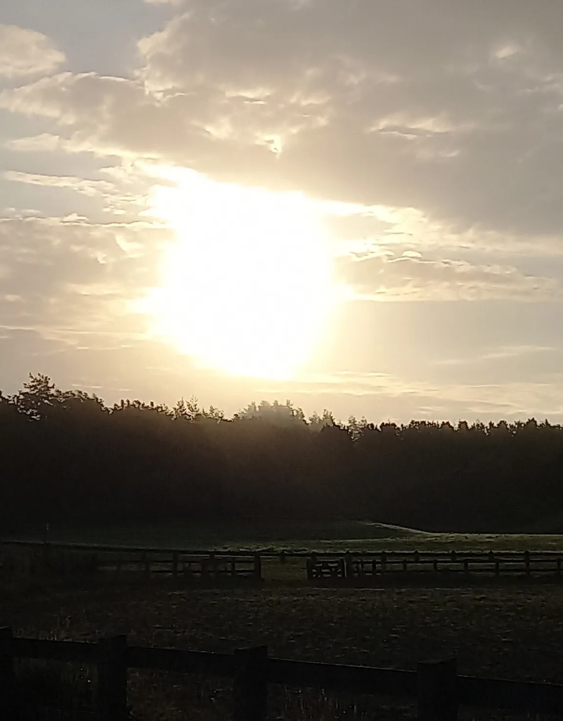 Ballyarnett Country Park